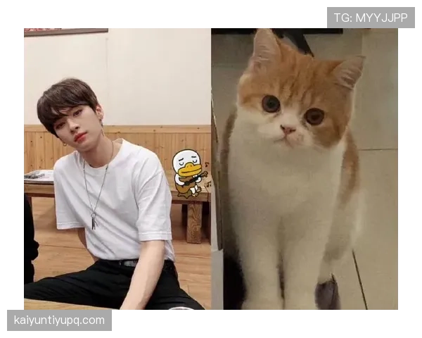 汪顺这生活节奏也太拼了吧，睡觉都像在开训练营似的